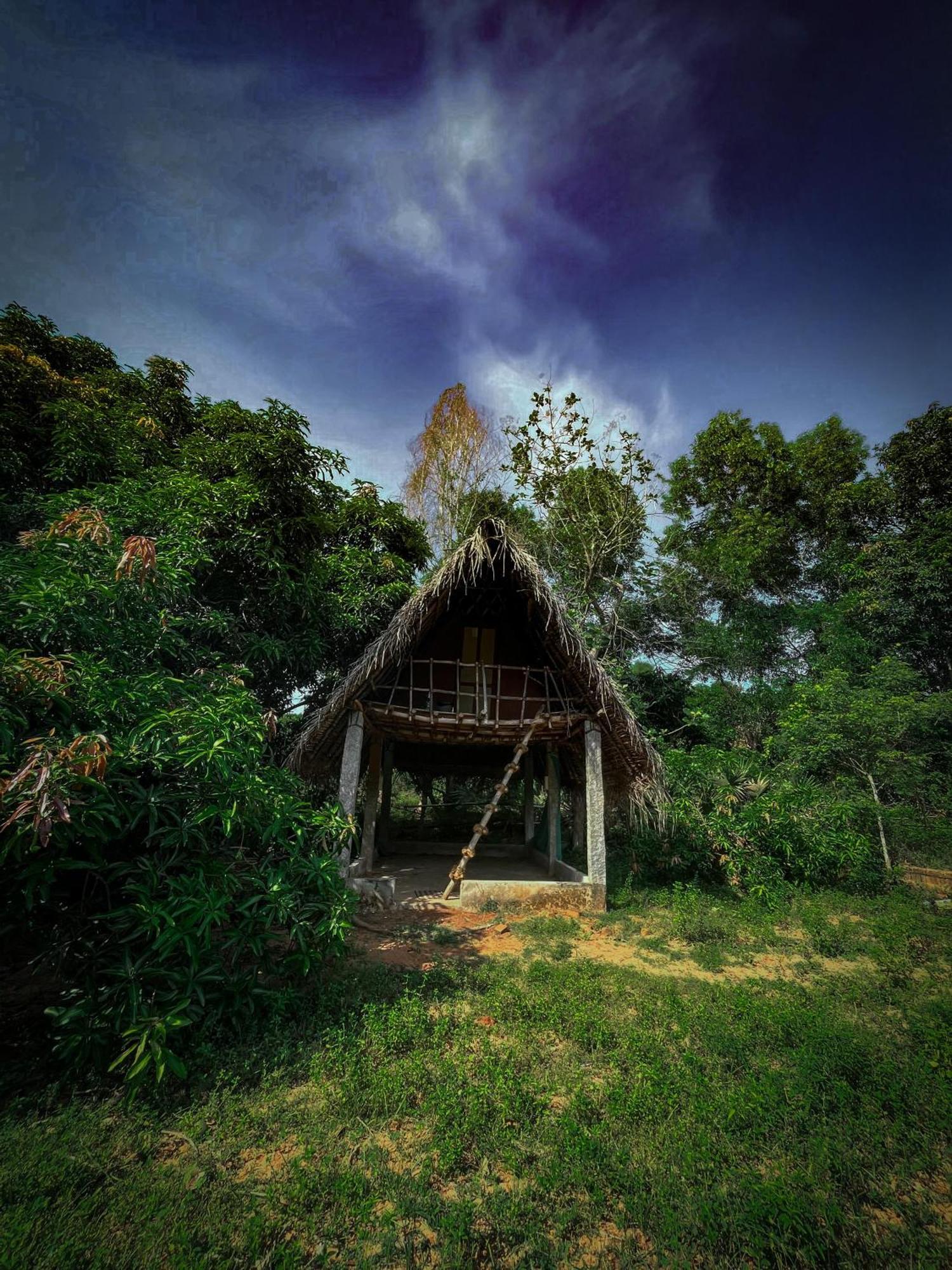 Art Forest Пондичерри Экстерьер фото