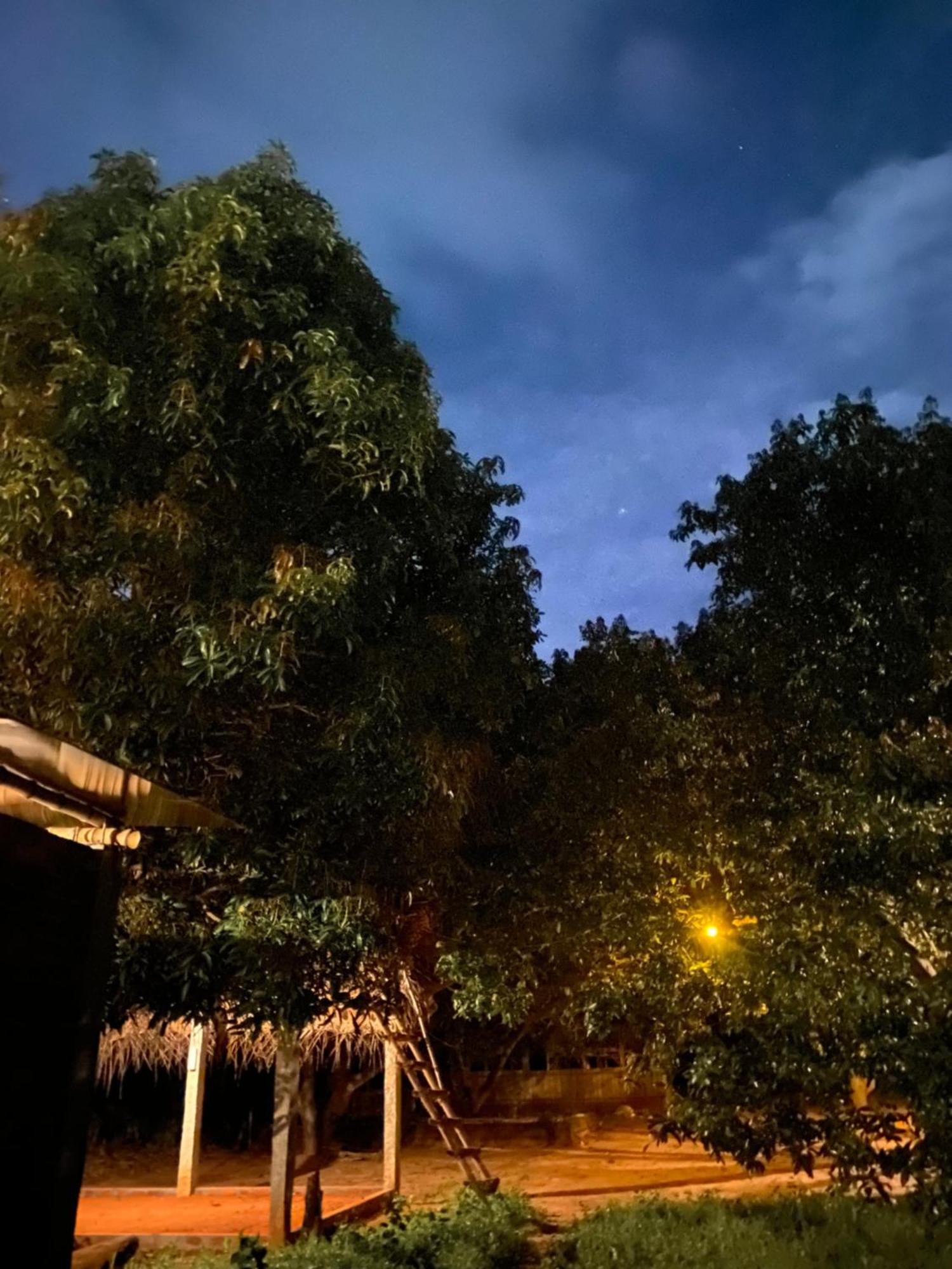 Art Forest Пондичерри Экстерьер фото
